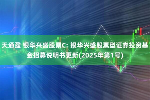 天通盈 银华兴盛股票C: 银华兴盛股票型证券投资基金招募说明书更新(2025年第1号)
