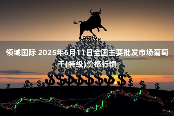领域国际 2025年6月11日全国主要批发市场葡萄干(特级)价格行情