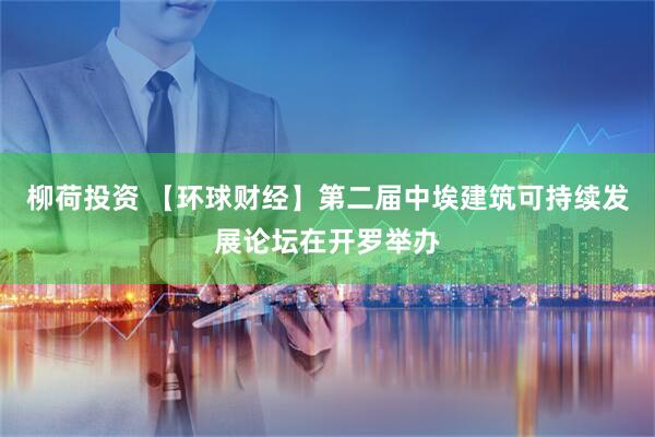 柳荷投资 【环球财经】第二届中埃建筑可持续发展论坛在开罗举办
