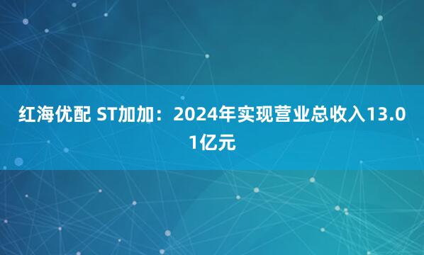 红海优配 ST加加：2024年实现营业总收入13.01亿元